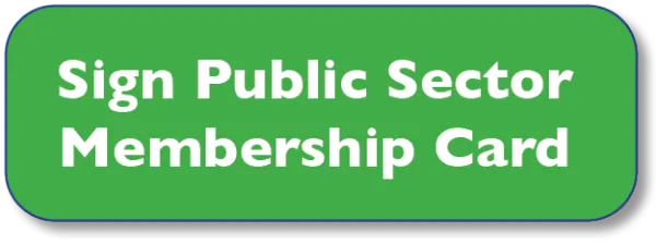 public_sector.png